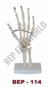 Hand Bone Joint Model