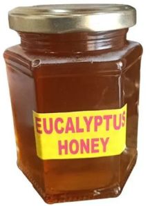 Eucalyptus Honey