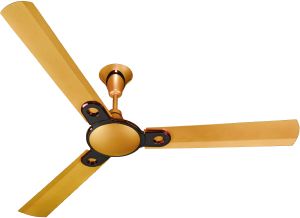 Beauty Ceiling Fan