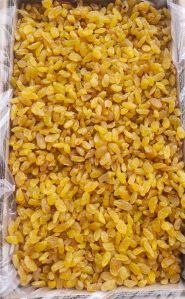 Black Dried Raisins