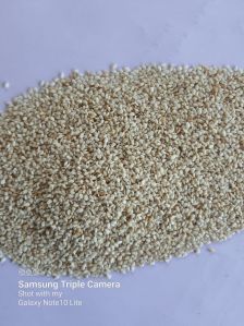Black Dried Raisins