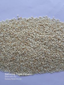 Black Dried Raisins
