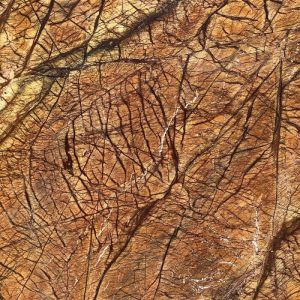 Rainforest Brown Marble