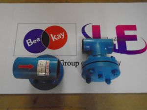 Tee Type Strainer