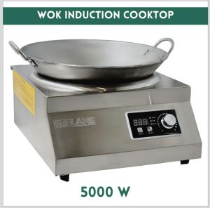 5000 W Commercial Induction Cooker