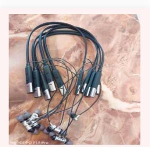 Neckband Earphones