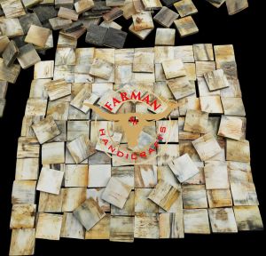 Buffalo Horn & Bone Blank Square