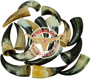 500 ml Viking Drinking Ox Horn