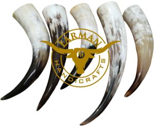 Viking Drinking Ox Horn