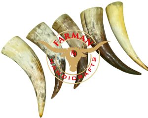Viking Drinking Ox Horn