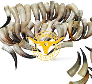 Viking Drinking Ox Horn