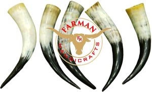 Viking Drinking Ox Horn