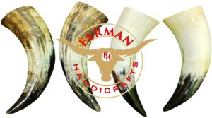 South African White Viking Drinking Ox Horn