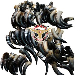 500 ml Viking Drinking Ox Horn