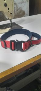 Dog Collars