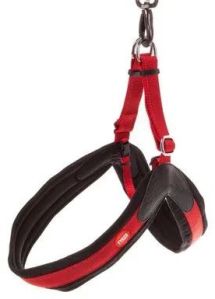 Dog Padded Harness