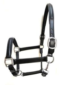 Leather Horse Halter