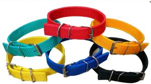 Multicolor Nylon Dog Collar