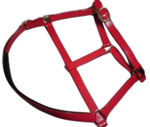 PVC HORSE HALTER