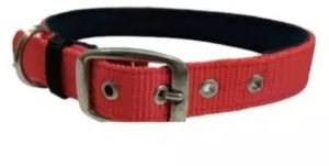 nylon dog collar