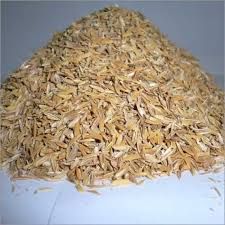 unburnt rice husk