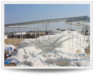 Pneumatic Conveying Systems