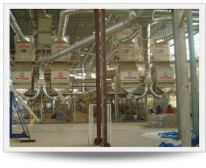 Pneumatic Conveying Systems