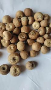 B Grade Betel Nuts