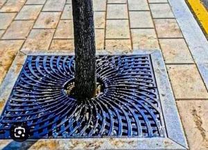 Cast Iron Square Tree Grate