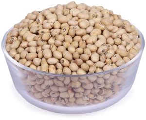 Soybean Seed