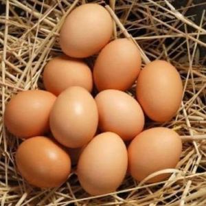 Brown Eggs