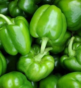 Fresh Green Capsicum