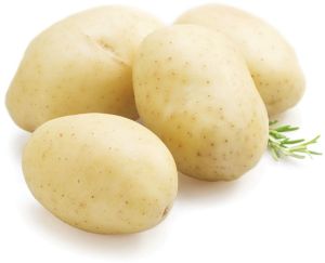 Fresh White Potato