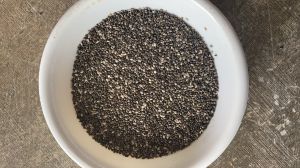 White Chia Seeds