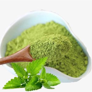 Dehydrated Mint Leaves Powder