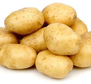 Fresh Potato