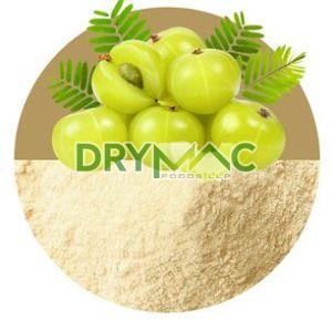 Amla Powder