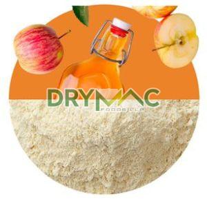 Apple Cider Vinegar Powder