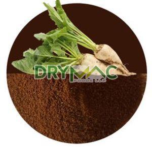 Chicory Powder