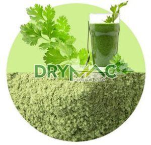 coriander powder