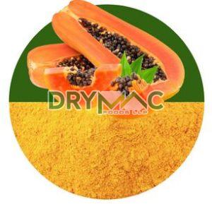 Papaya Powder