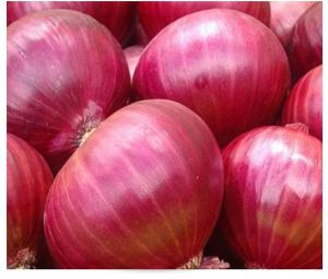 Fresh Pink Onion