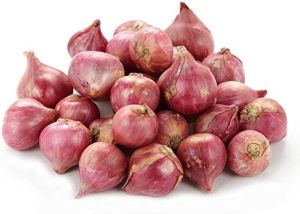 Fresh Shallot Onion