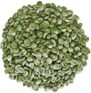 Green Arabica Coffee Beans