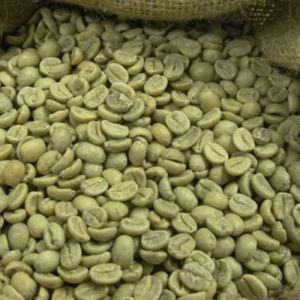 Green Robusta Coffee Beans