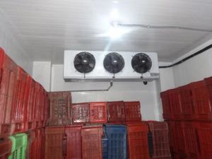 Prefabricated Ripening Chamber