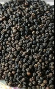 Bold Black Pepper Seeds