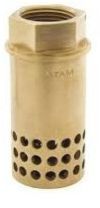 Atam Bronze Foot Valve Hole Type Screwed