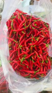 Fresh Red Chilli