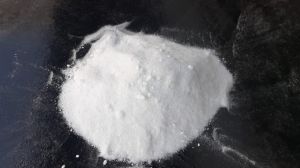 Tungsten Powder